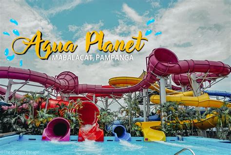 Aqua Planet Tips, Tricks, and Watermazing Guide! .
